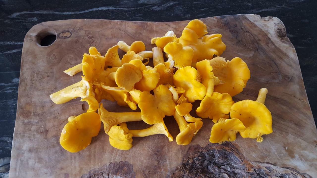 Wester Blackpark Farm إينفيرنيس المظهر الخارجي الصورة